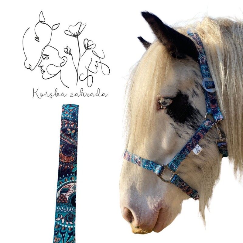 Ohlávka Síla pouště FULL